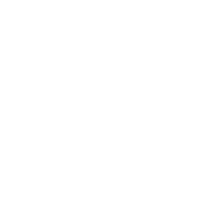 数据分析与报告